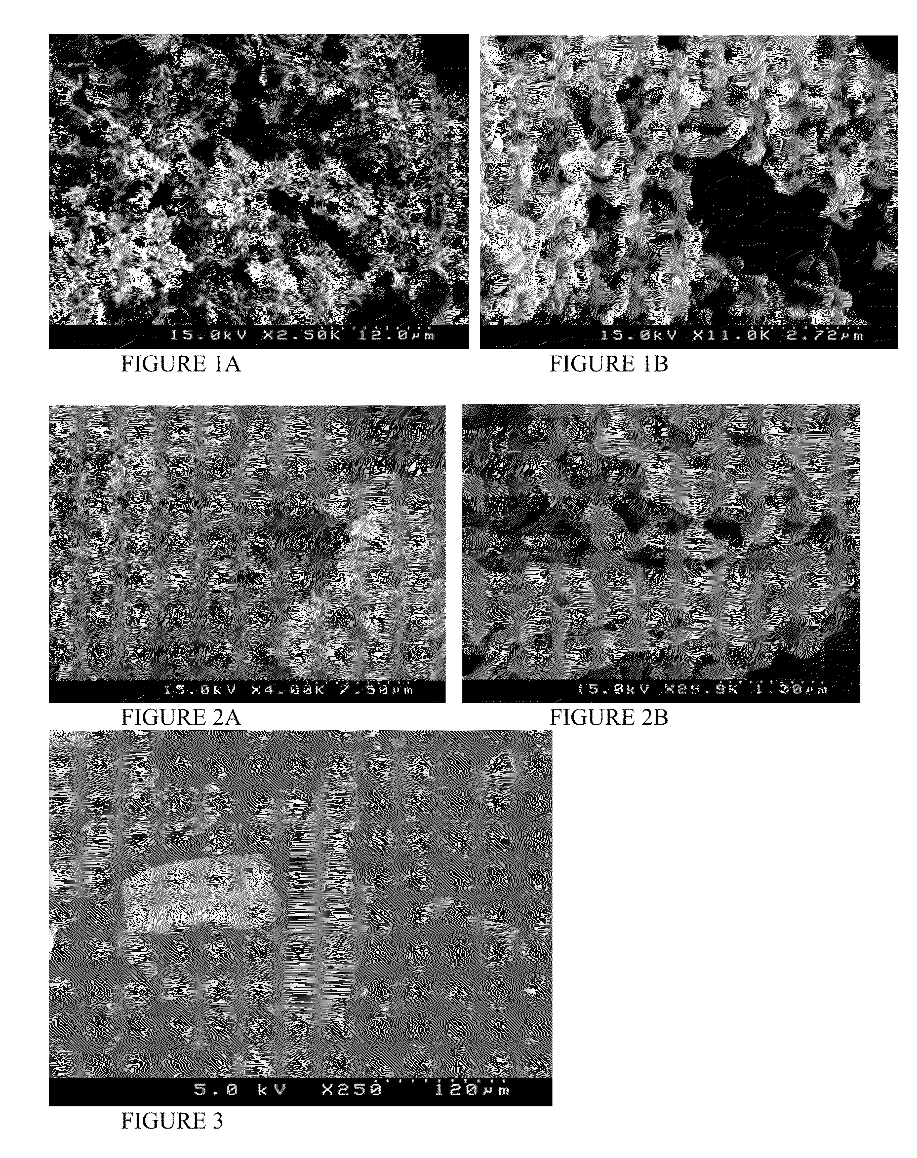 Enhanced delivery of immunosuppressive drug compositions for pulmonary delivery