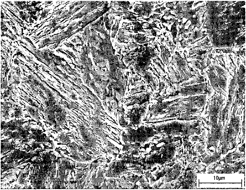 Rotary austenite toughening-based low-temperature steel and method for preparing same