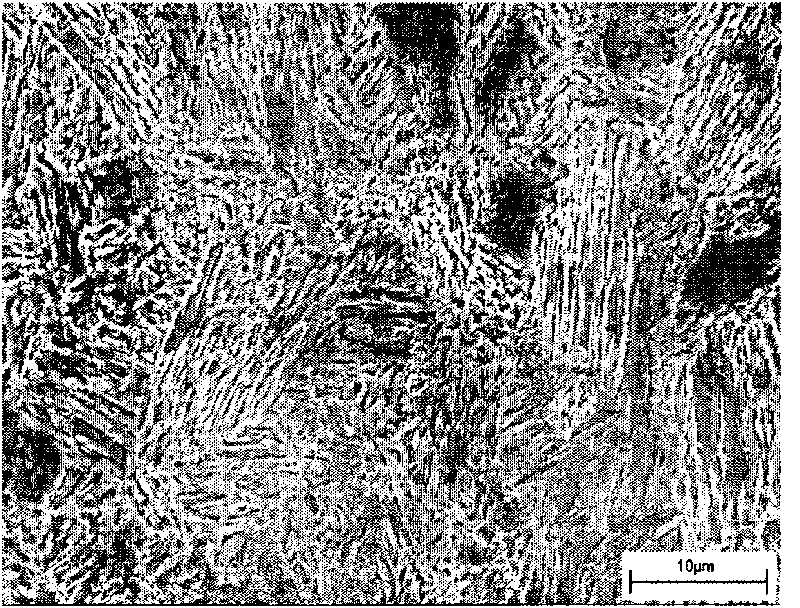 Rotary austenite toughening-based low-temperature steel and method for preparing same