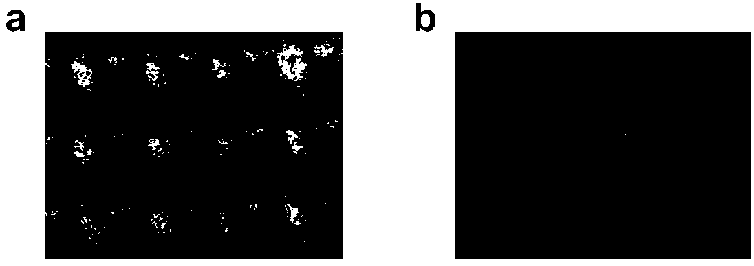 Laser desorption ionization mass spectrometry detection method