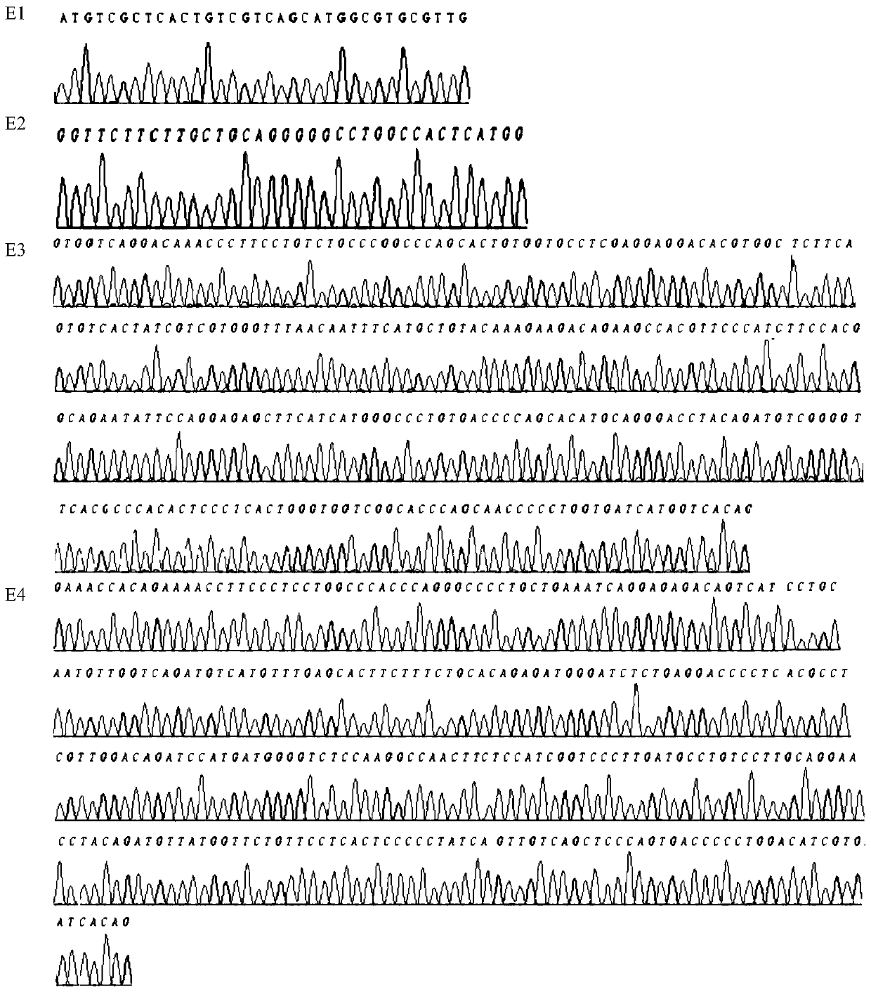 PCR-SBT method and reagent for genotyping of human killer cell immunoglobulin receptor KIR3DL 2