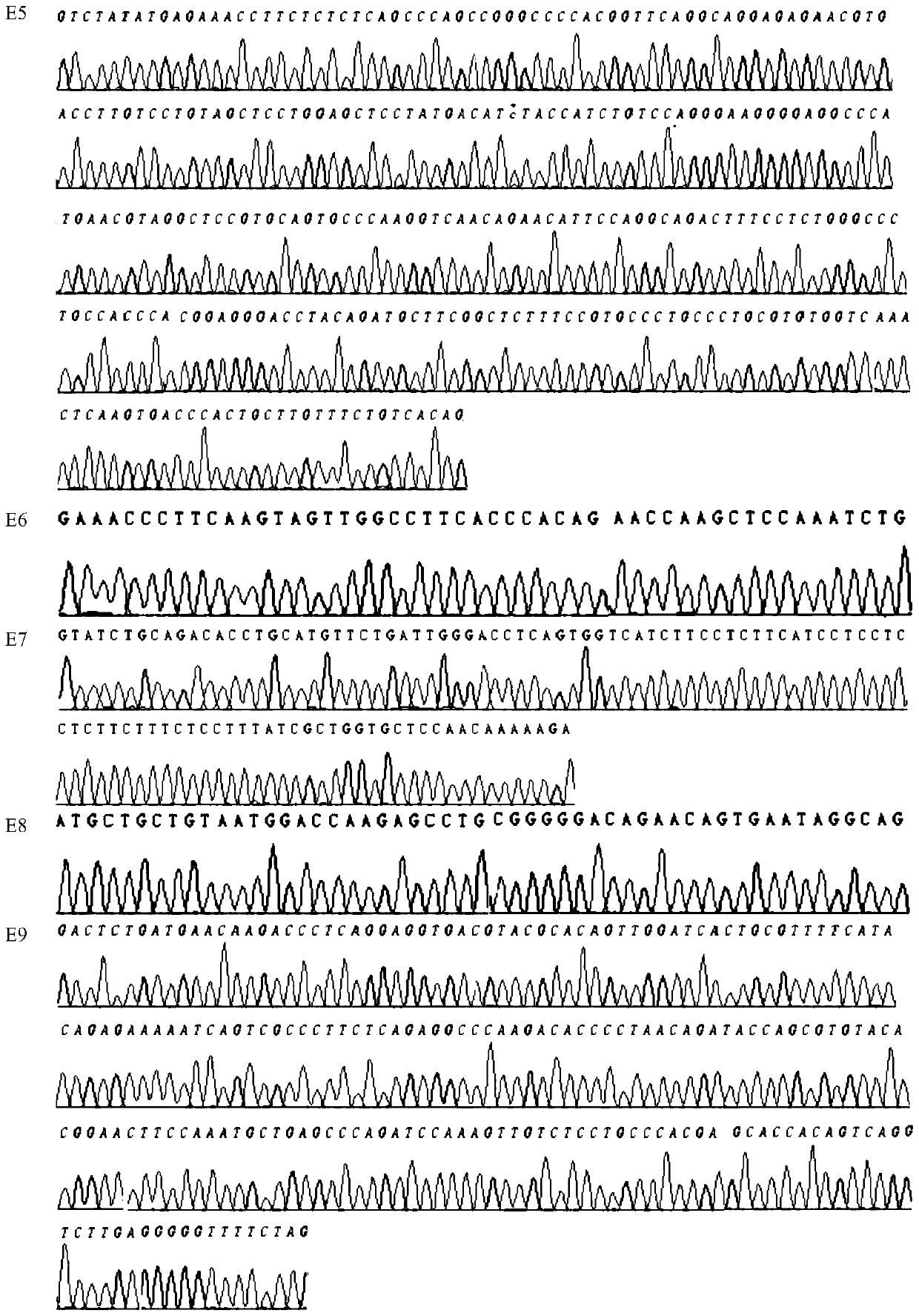 PCR-SBT method and reagent for genotyping of human killer cell immunoglobulin receptor KIR3DL 2