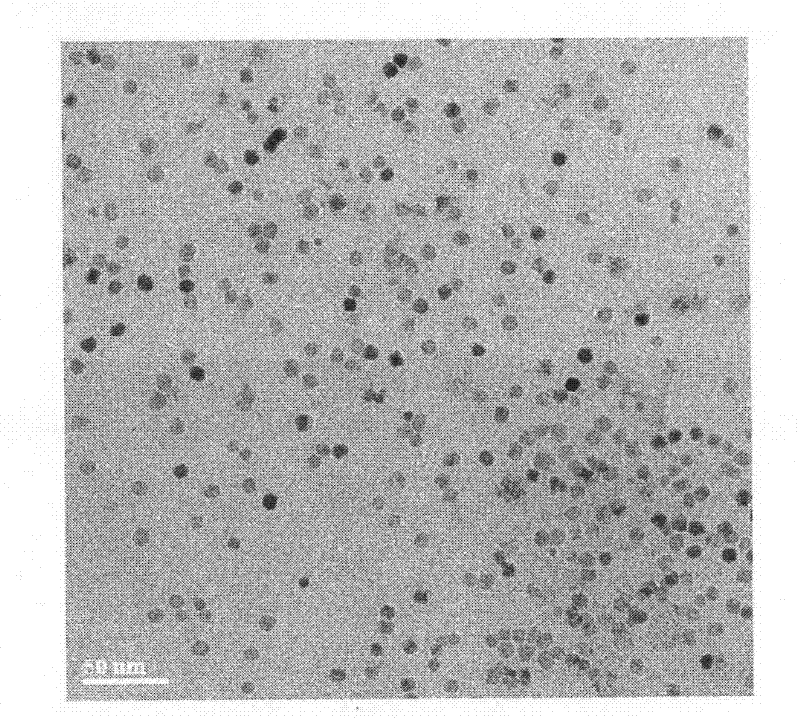 Water-soluble monodisperse iron-nickel magnetic nanoparticles and application thereof