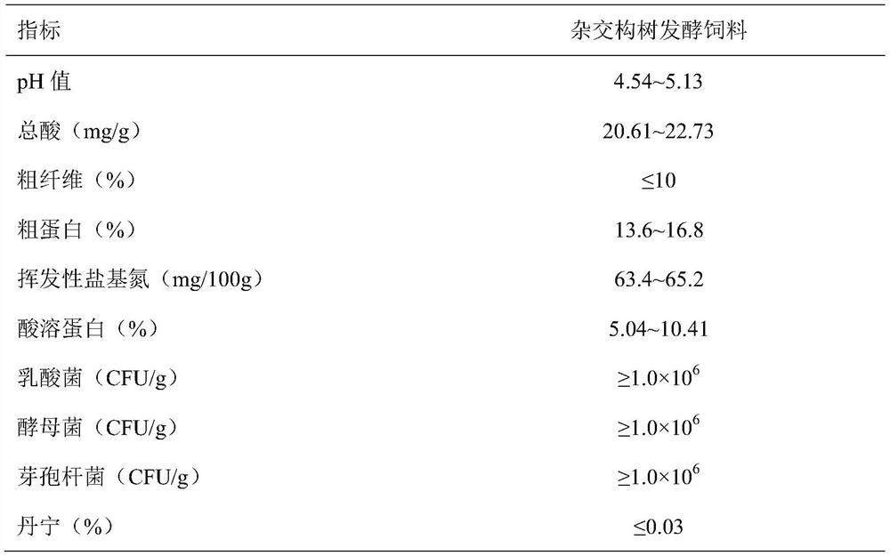 Fermented feed containing hybrid broussonetia papyrifera as well as preparation method and application of fermented feed