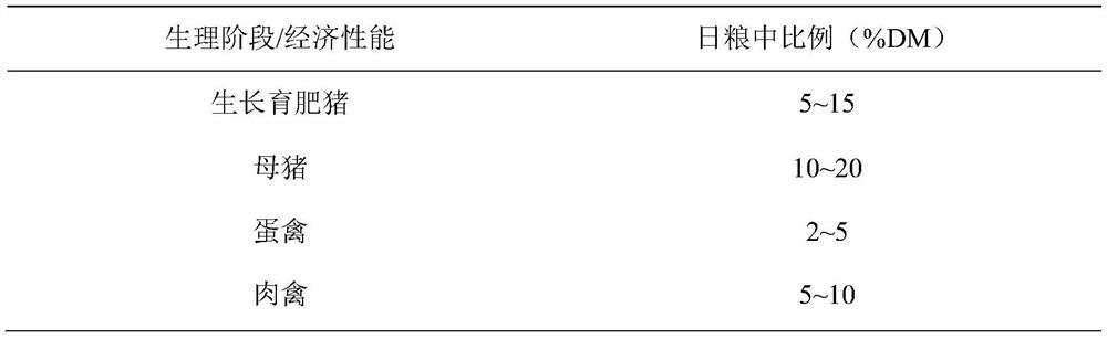 Fermented feed containing hybrid broussonetia papyrifera as well as preparation method and application of fermented feed