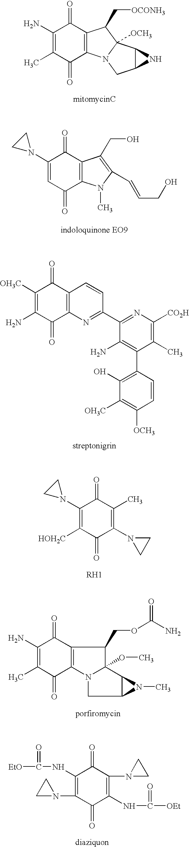 Conjugate of Biomacromolecule with Bioreductive and Preparative Method Thereof