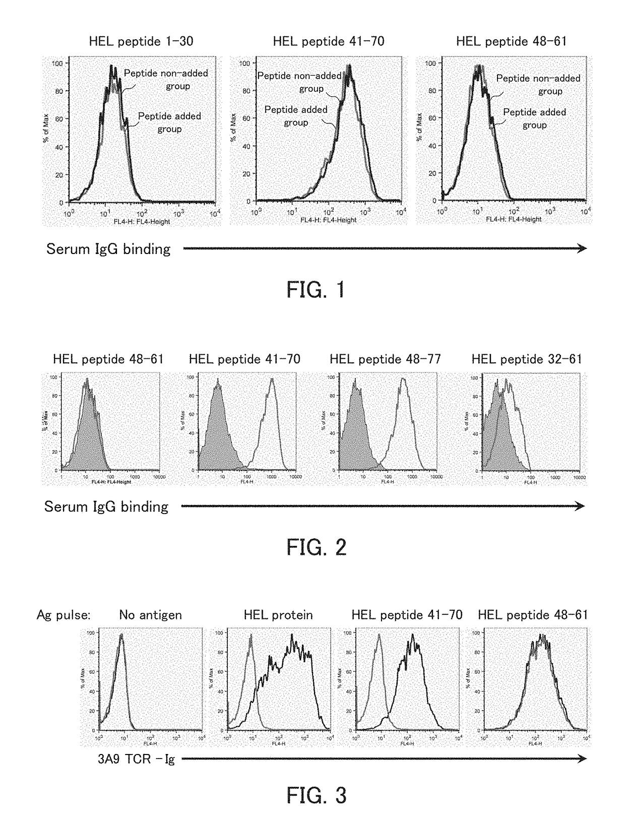 Immunizing peptide, method for producing immunizing peptide, pharmaceutical composition for immune disease containing same, and method for treating immune disease