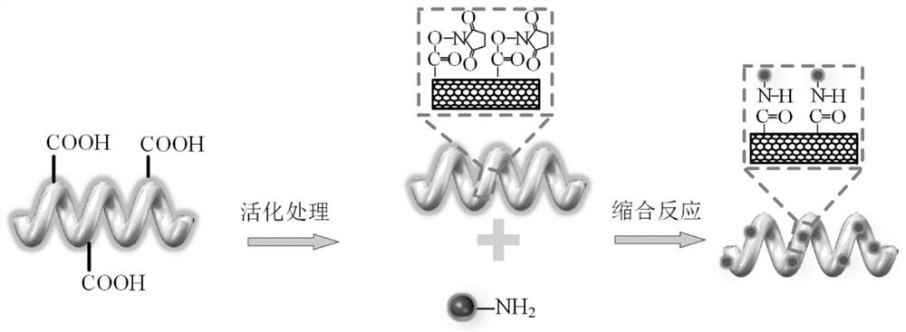 Magnetic field control spiral nano robot for targeted drug delivery