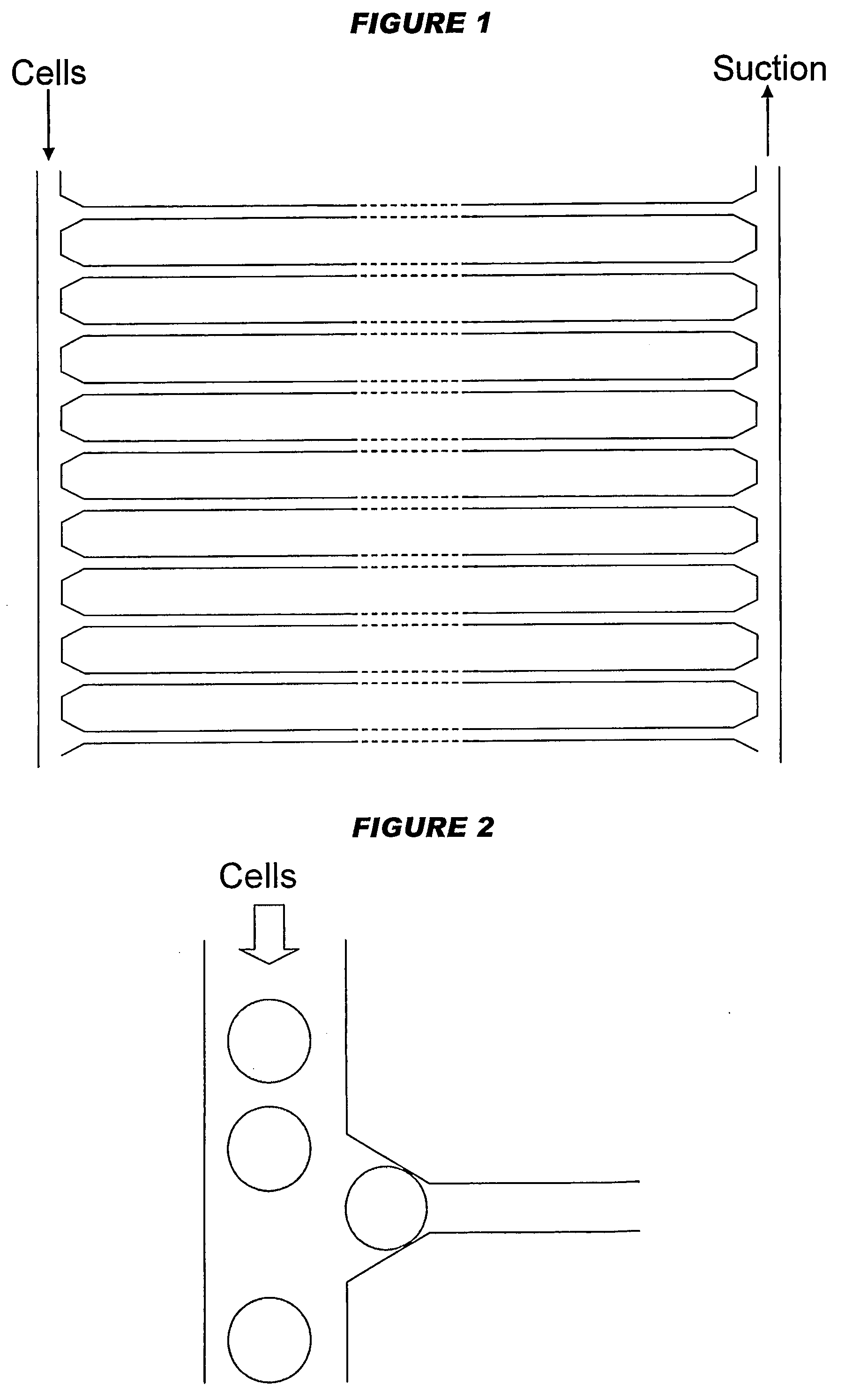 Devices and processes for analysing individual cells