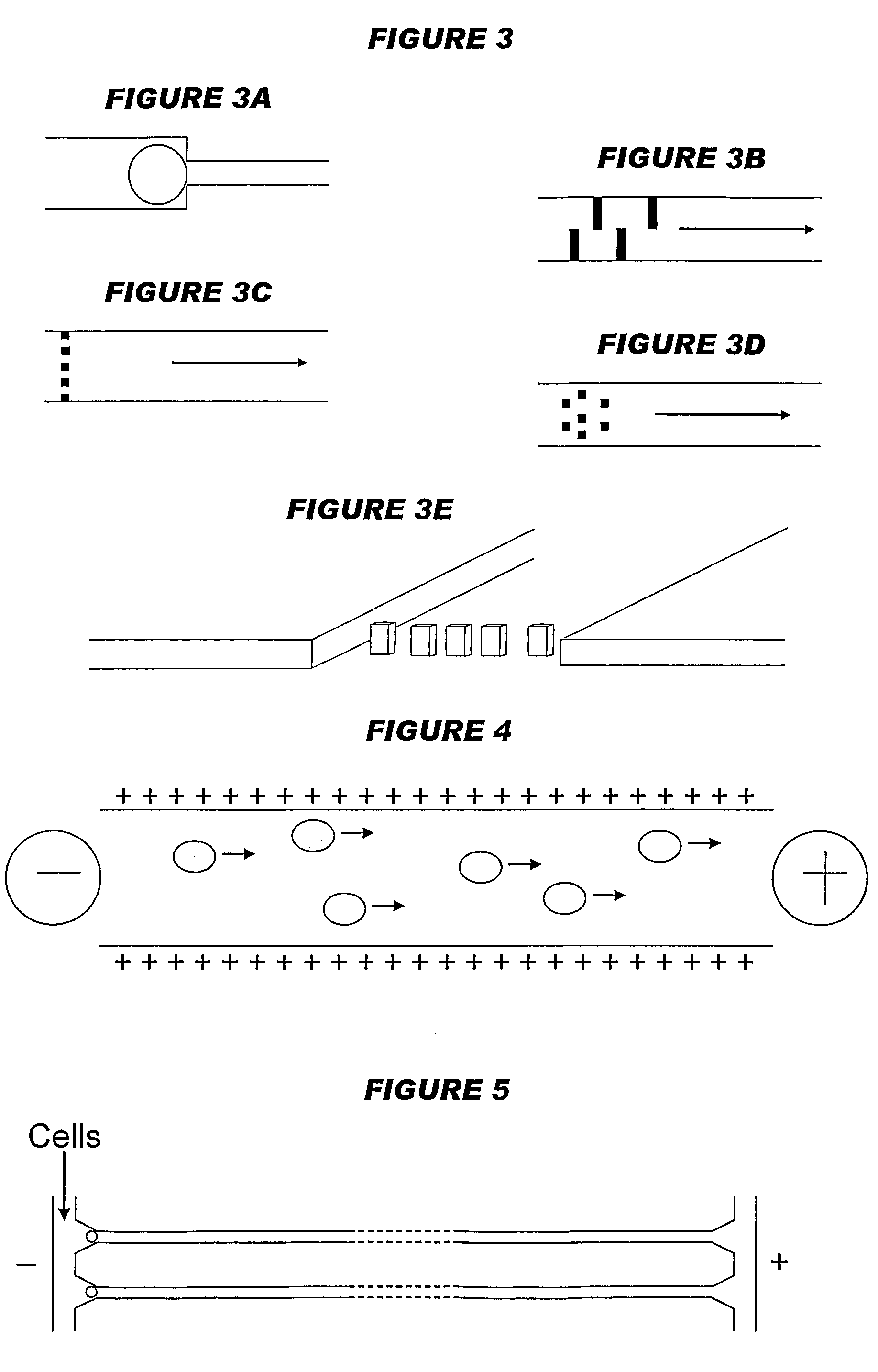 Devices and processes for analysing individual cells