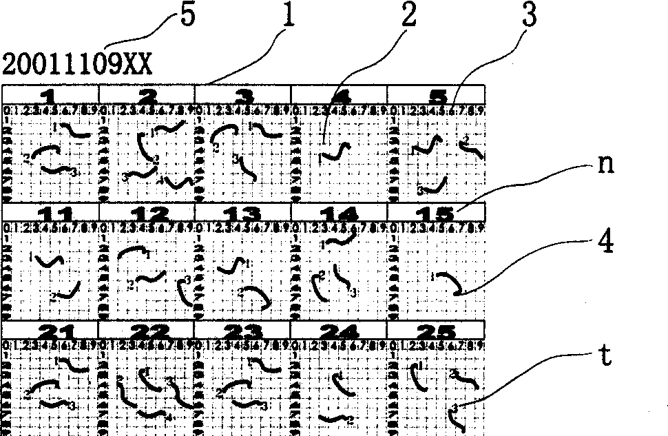 Random grain anti-fake method