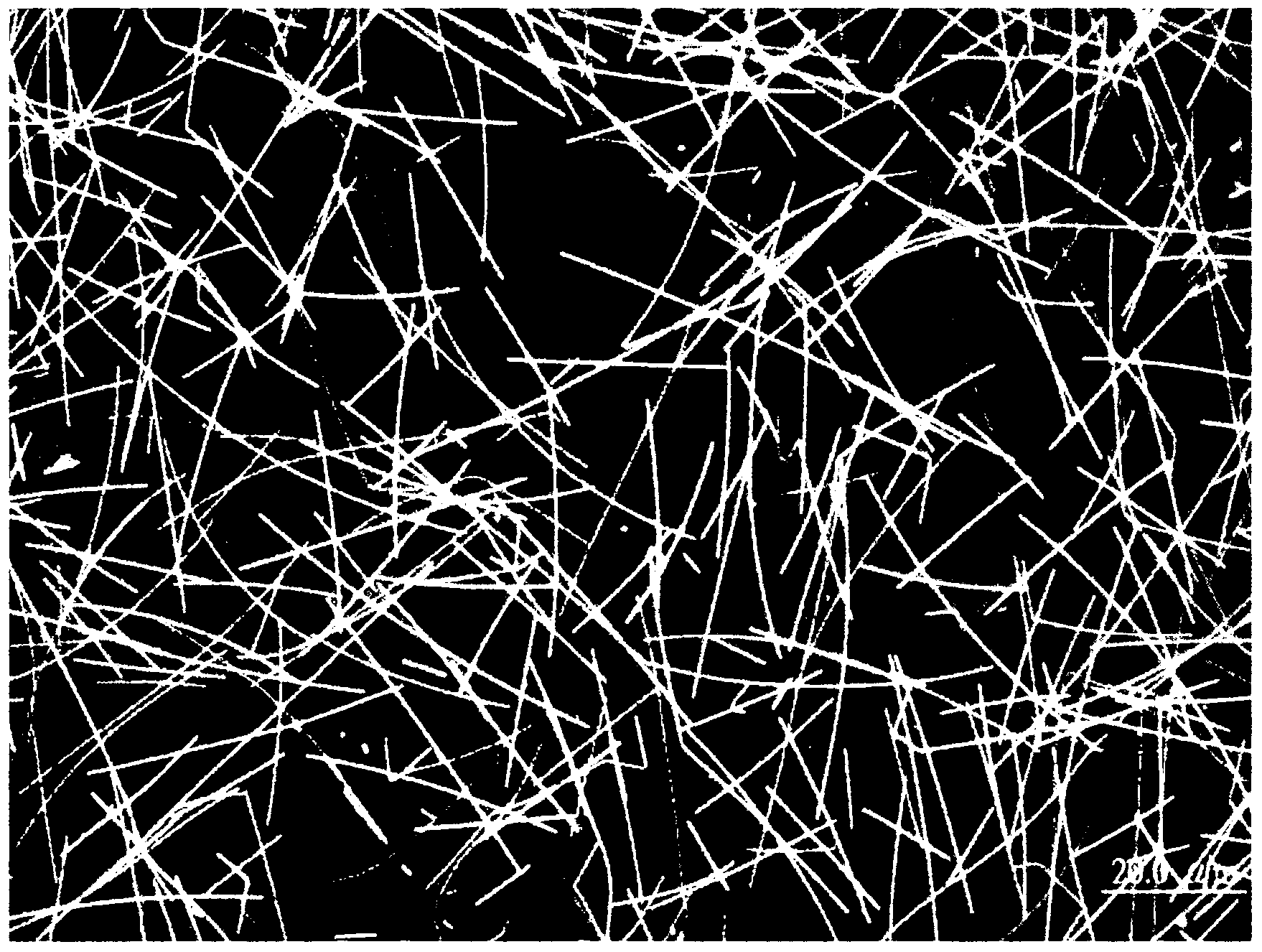 Silver nanowire-containing composition for biosensor strip, biosensor strip and its preparation method