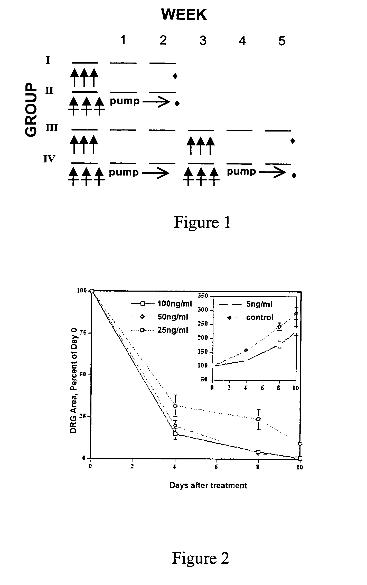 Ketoamide inhibitors in chronic nerve disease