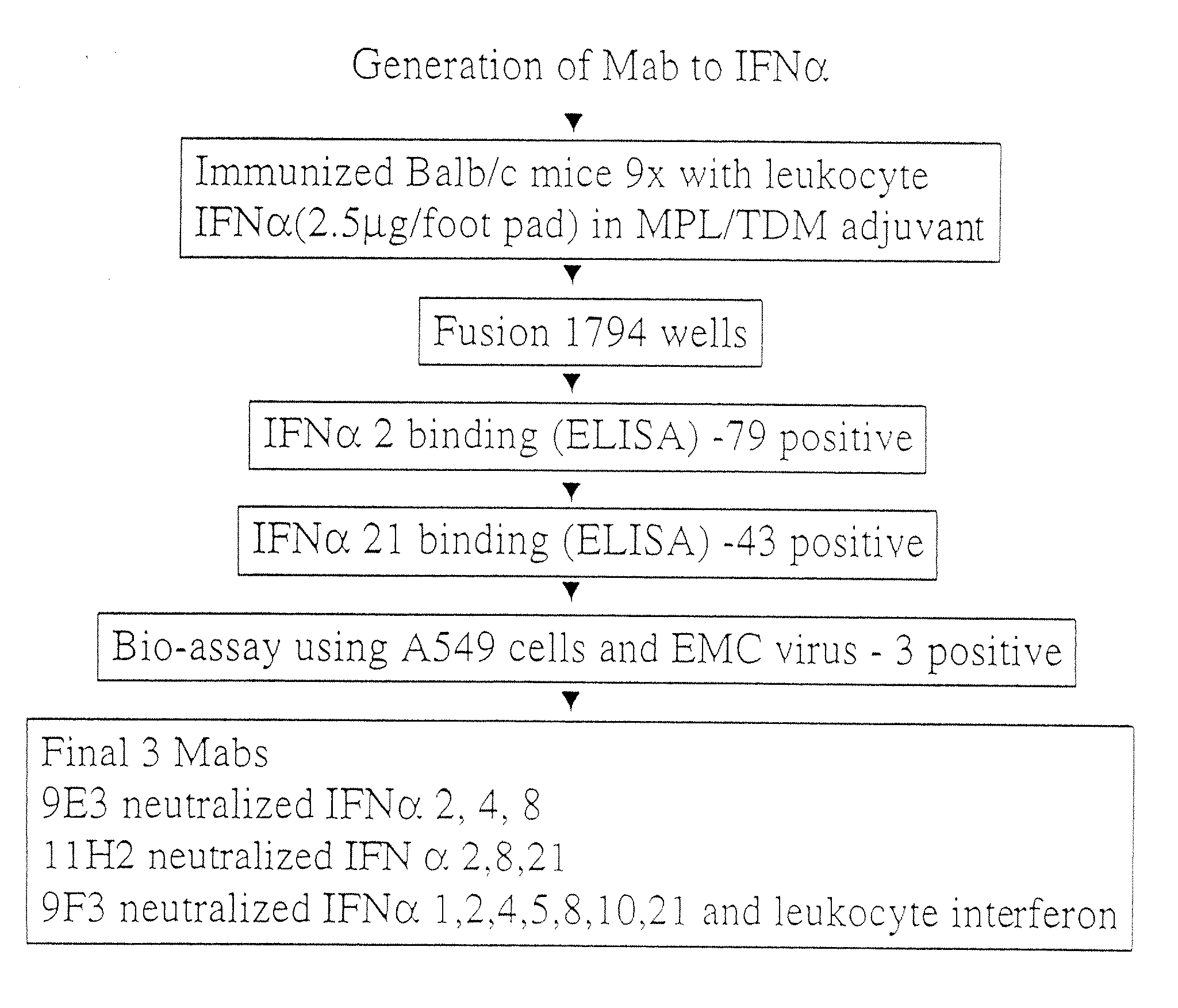 ANTI-INTERFERON-alpha ANTIBODIES