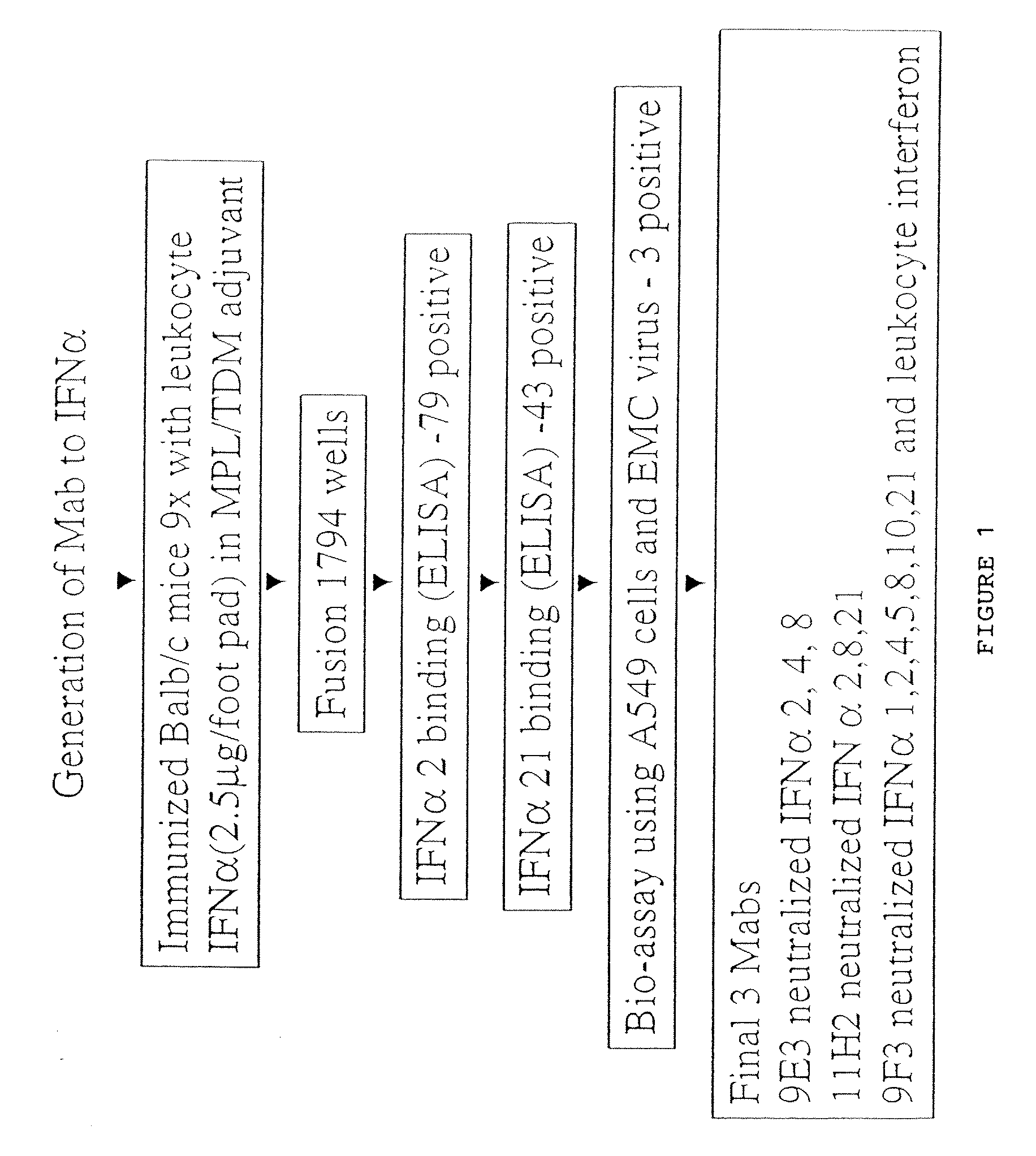 ANTI-INTERFERON-alpha ANTIBODIES