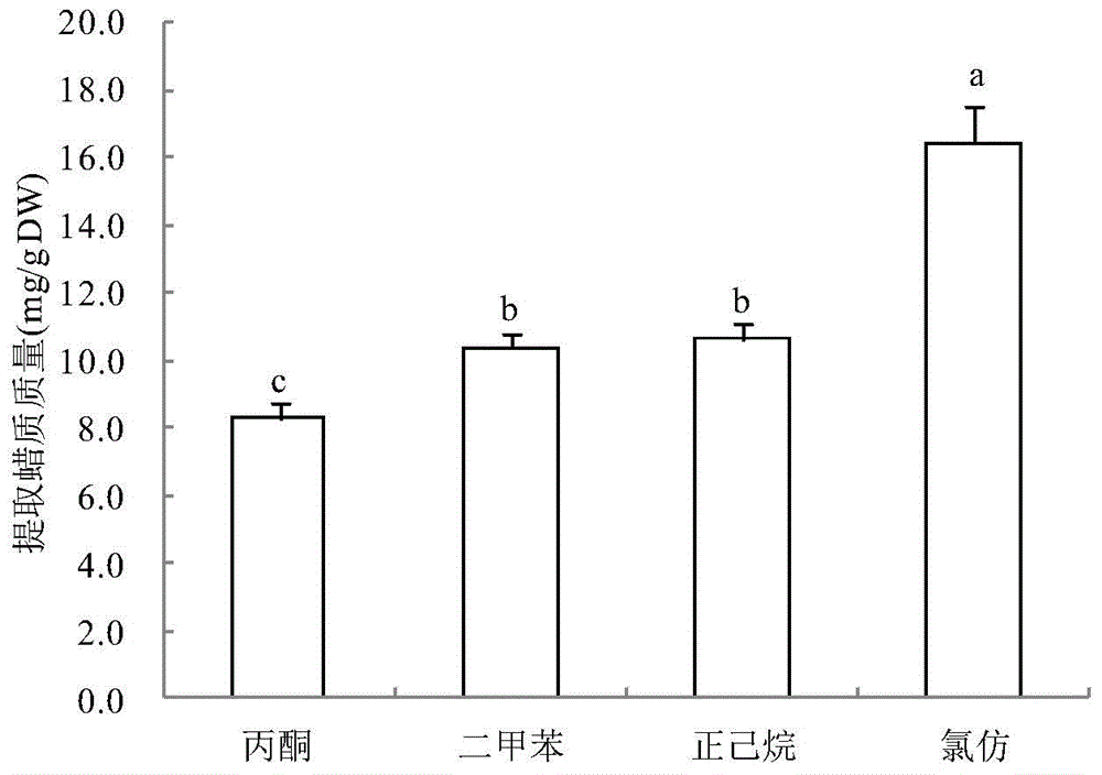 Method for rapidly extracting wax from sweet sorghum stem