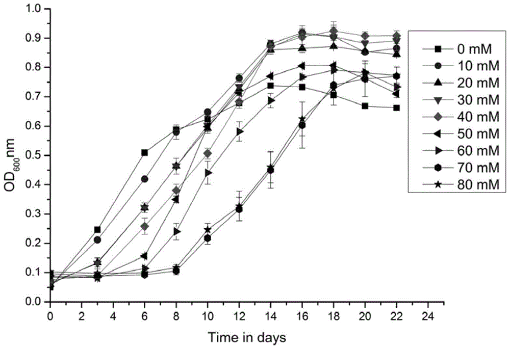 A Copper-resistant Genetic Engineering Bacteria of Acidophilus Thiobacillus Thioxidans and Its Application