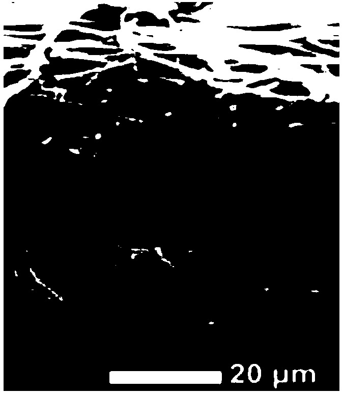 Functional polymer, polymer electrolyte membrane, flame-retardant polymer electrolyte composite membrane and preparation method thereof, and lithium ion battery