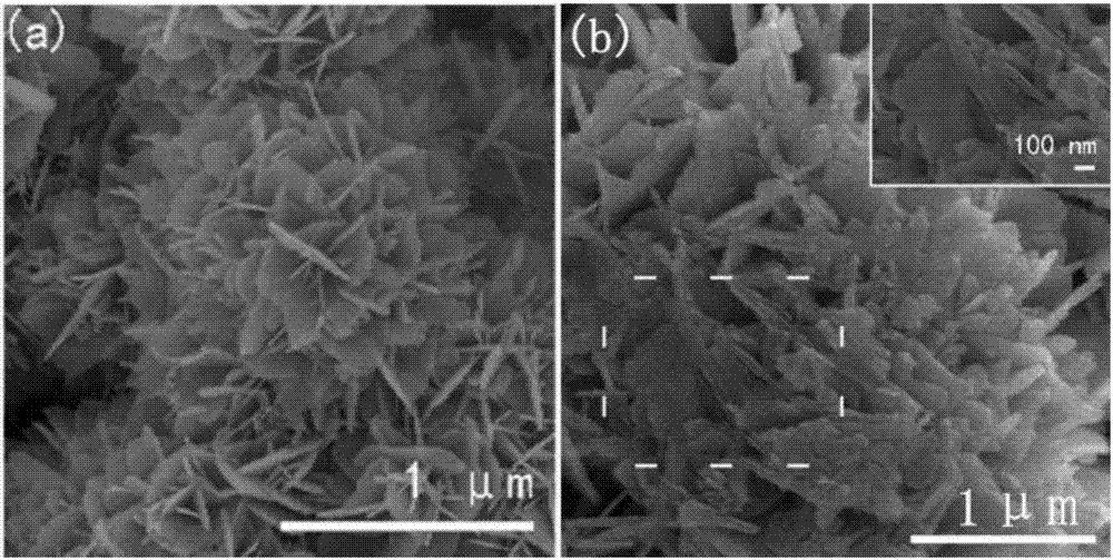 CoO/SnO2 sensitive material and preparation method thereof