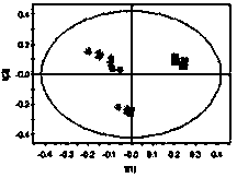 Method for studying metabolic difference of transgenic rice and non-transgenic rice