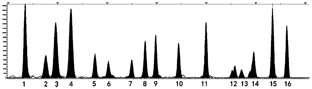 Blood mRNA detection kit and detection method