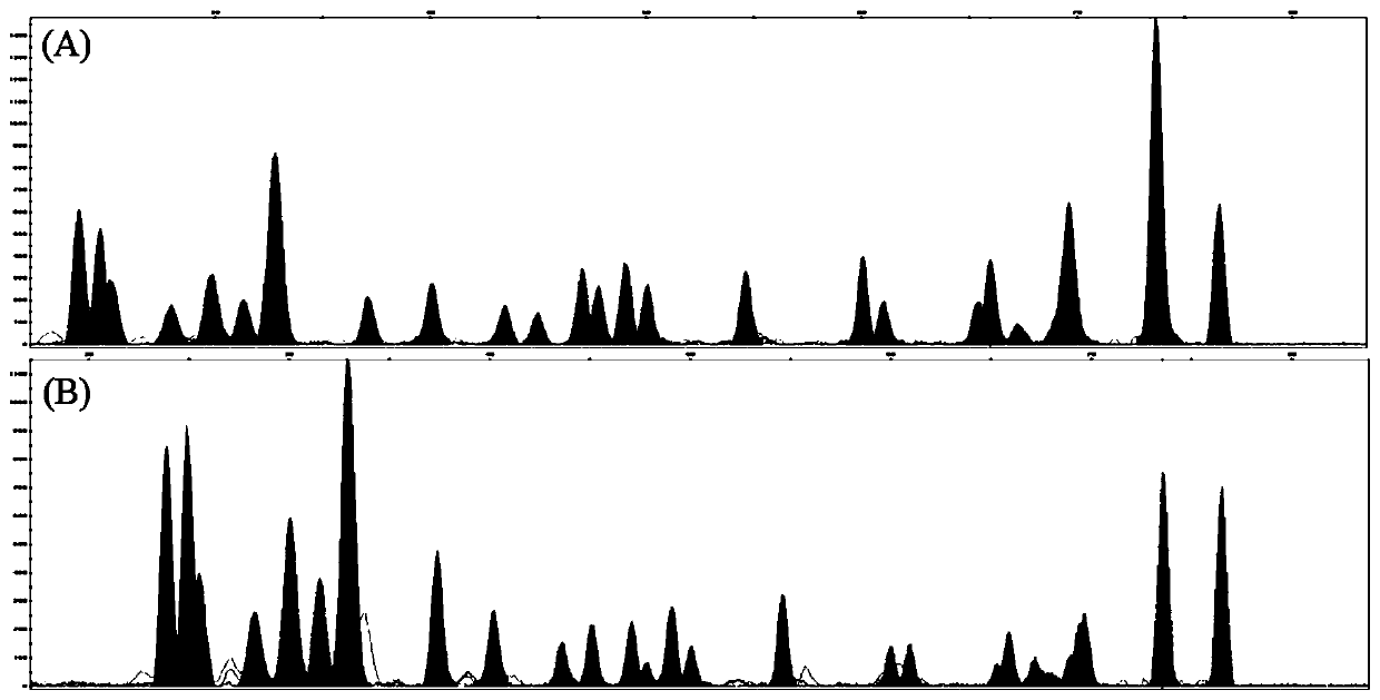 Blood mRNA detection kit and detection method