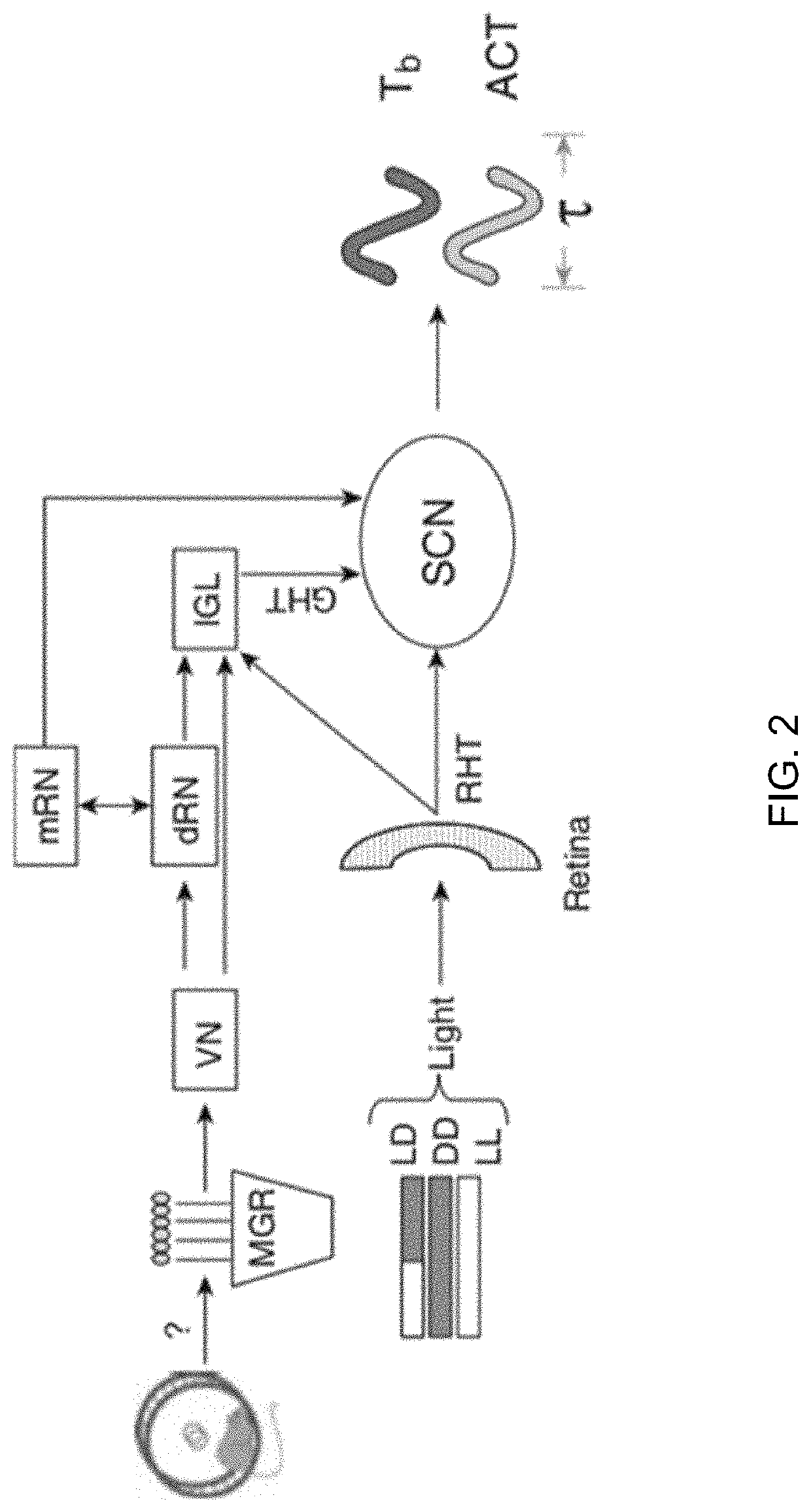 Systems, devices and methods for sleep therapy using vestibular nerve stimulation