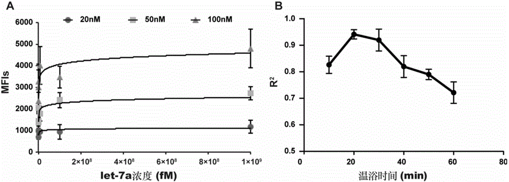 Method for detecting miRNAs based on liquid chip of HCR