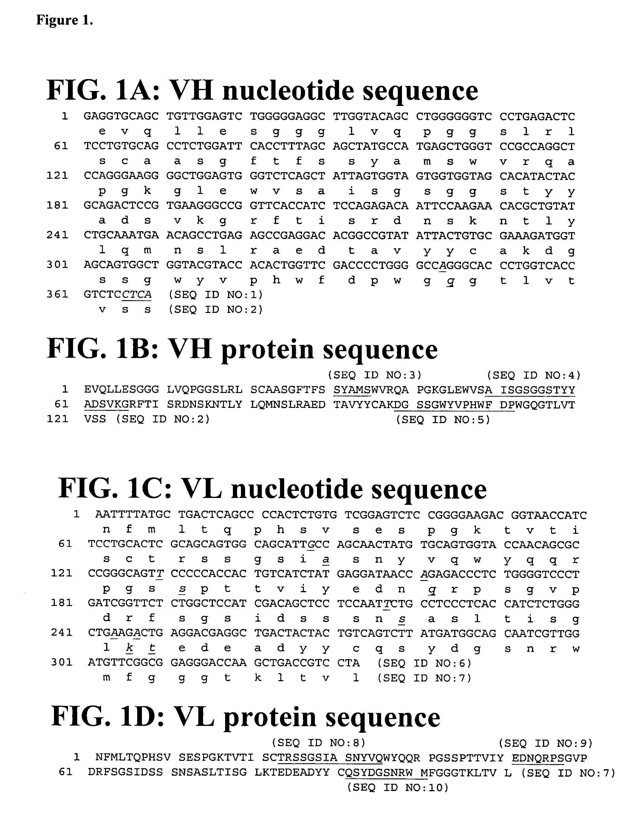 Anti-interferon gamma antibodies and methods of use thereof