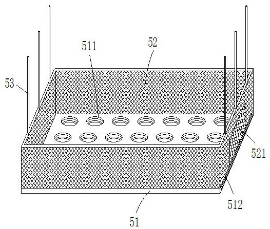 Culture box for graded culture of shrimps and culture method of culture box