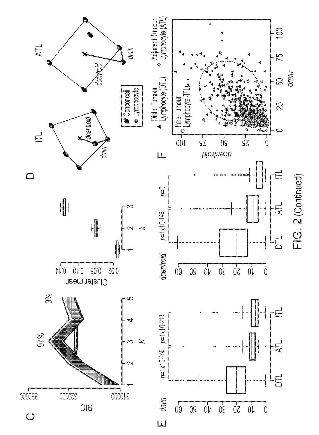 Scoring of tumor infiltration by lymphocytes