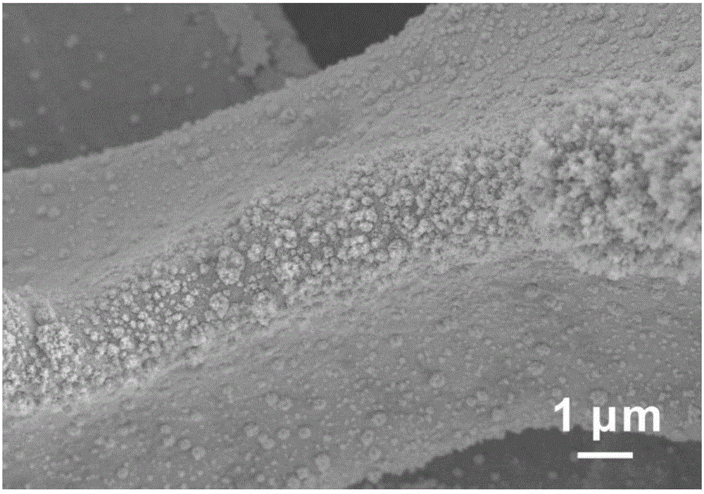 Preparation method and application of self-supporting Pd-Ag-Ni ternary metal catalyst