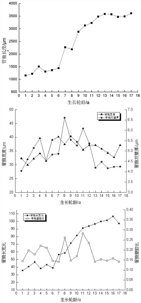 Method for evaluating physical and mechanical properties of wood based on micromorphological characteristics of wood