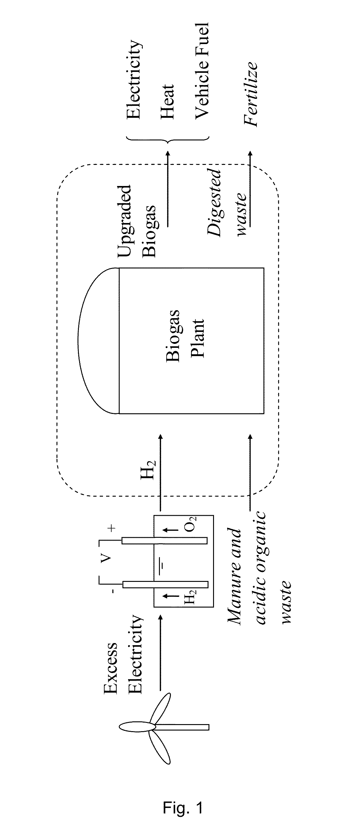 Methods and Apparatus for Hydrogen Based Biogas Upgrading