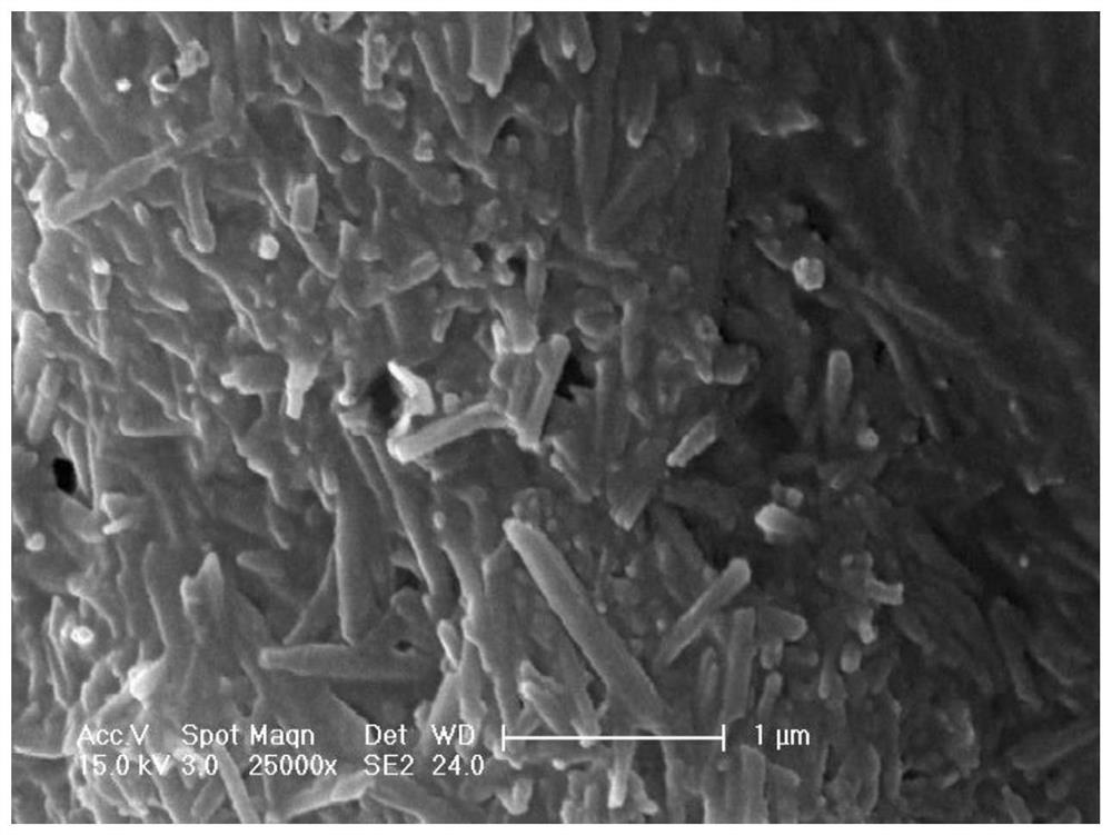 Antibacterial medical hemostatic sponge and preparation method thereof