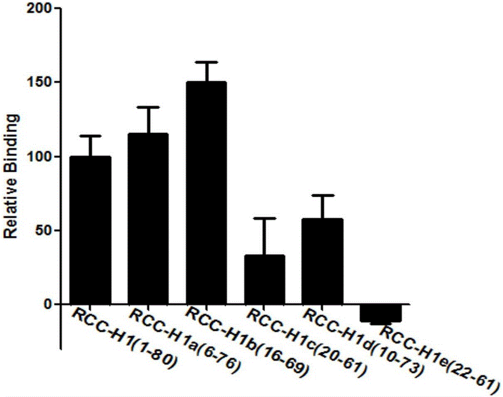 Aptamer for detecting human renal clear cell carcinoma cells and application of aptamer in preparing detection preparation