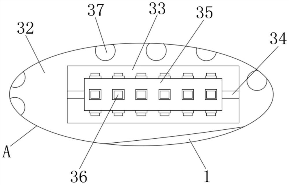 Rapid drying device for torreya grandis fruits and drying method thereof