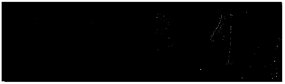 Identification method for handwritten numbers