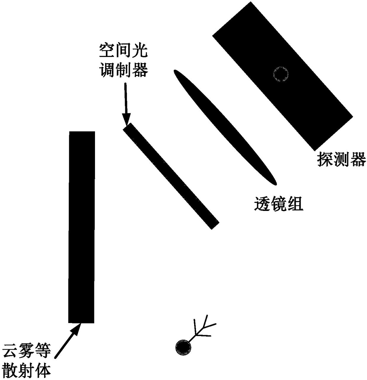 Through-mist imaging method based wavefront correction