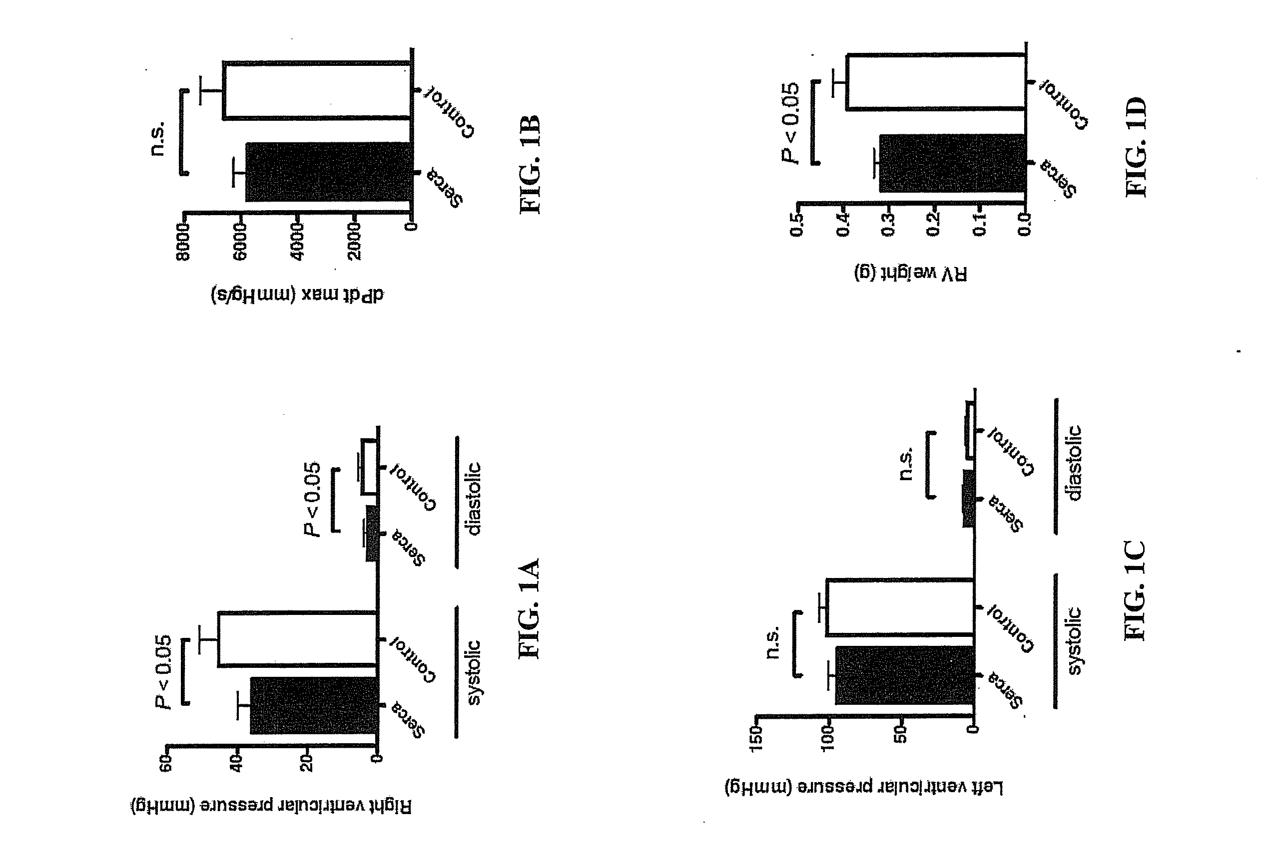 Serca2 therapeutic compositions and methods of use