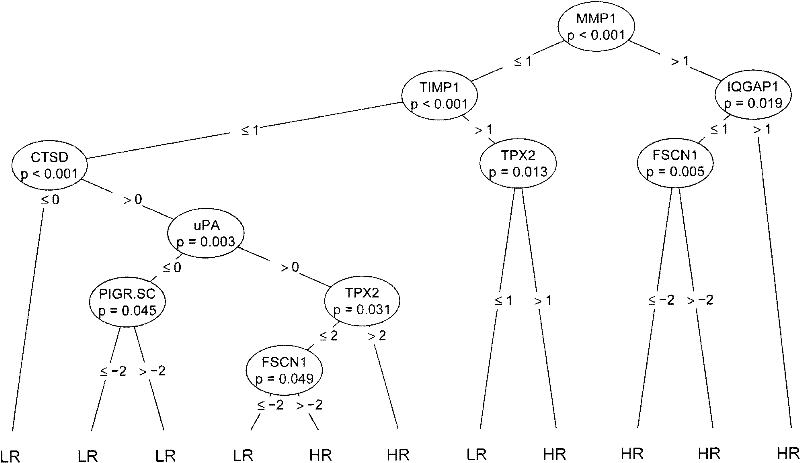 Reagent for auxiliarily diagnosing lung cancer lymph node metastasis