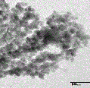 Magnetic-targeted isoniazid composite drug carrying microspheres and preparation method thereof