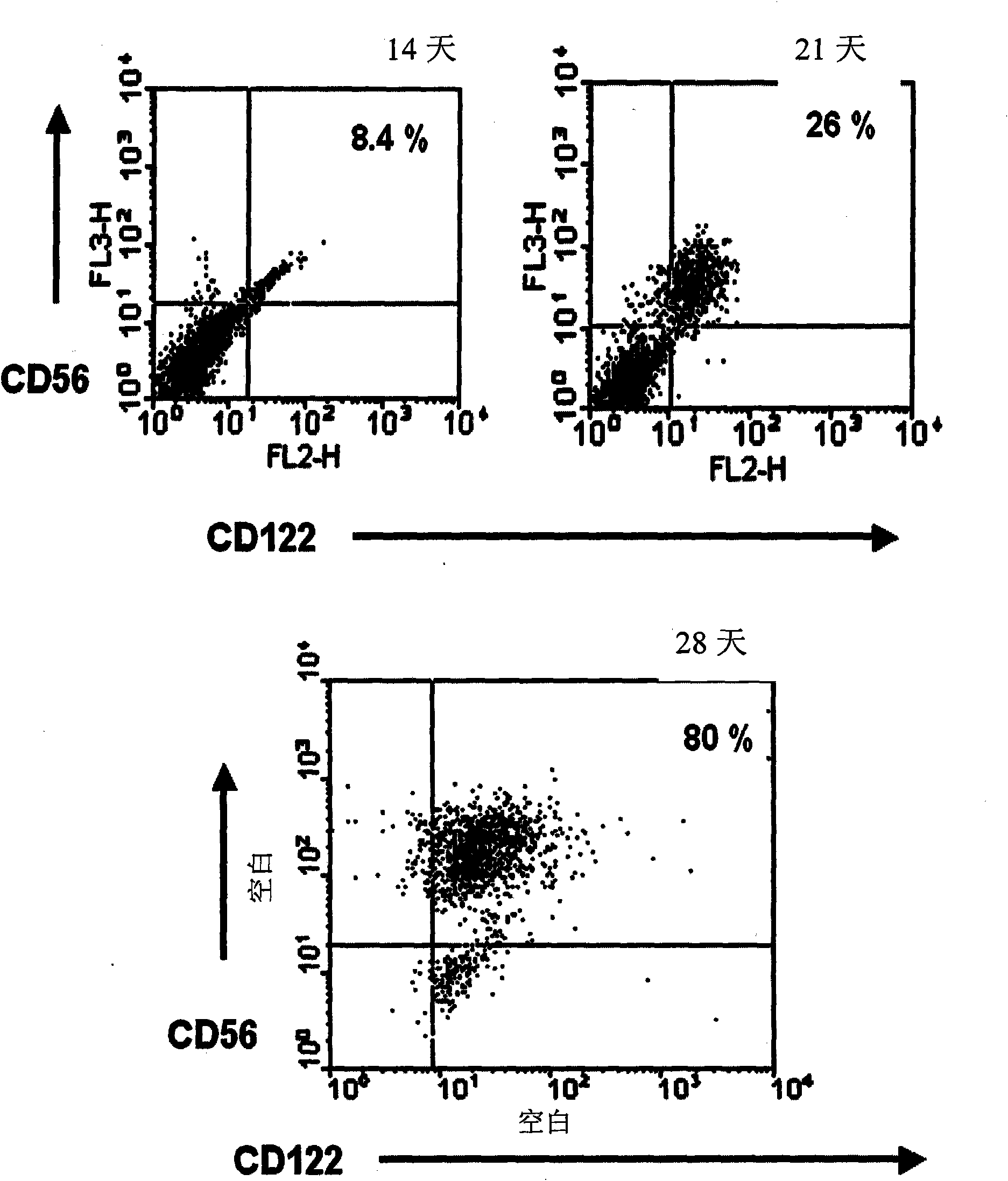 An agent for differentiating hematopoietic stem cell into natural killer cell comprising YC-1 or IL-21 and a method of differentiating hematopoietic stem cell into natural killer cell using thereof