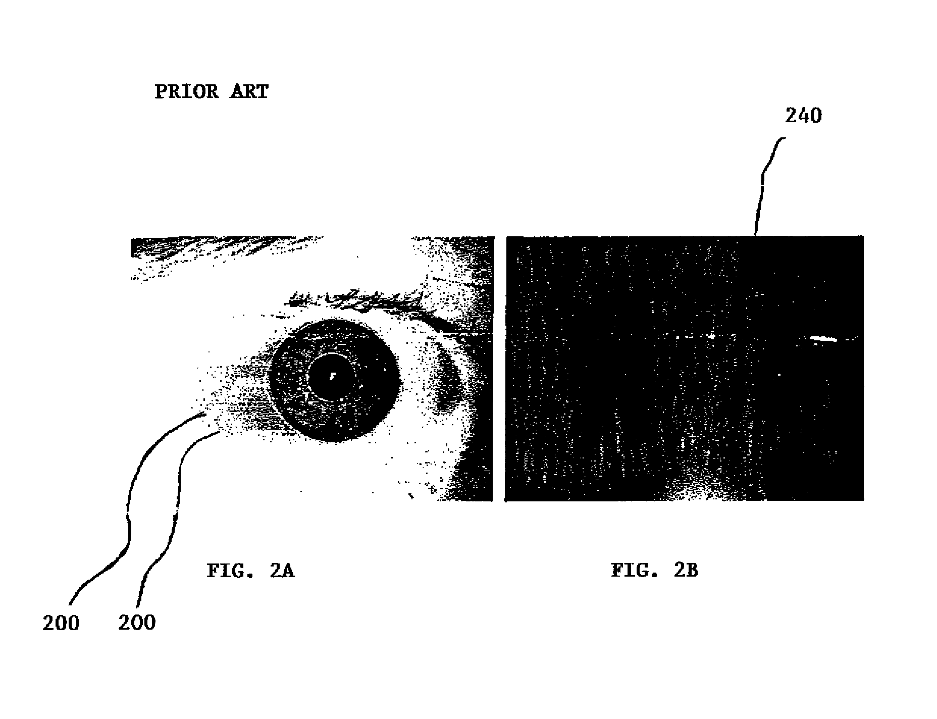 Methods and systems for biometric identification