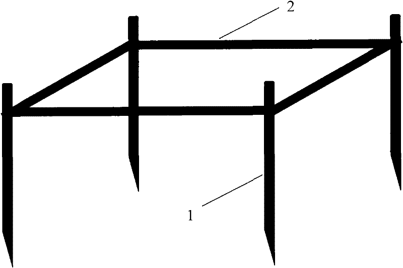 Method and device for transplanting zostera marina L.