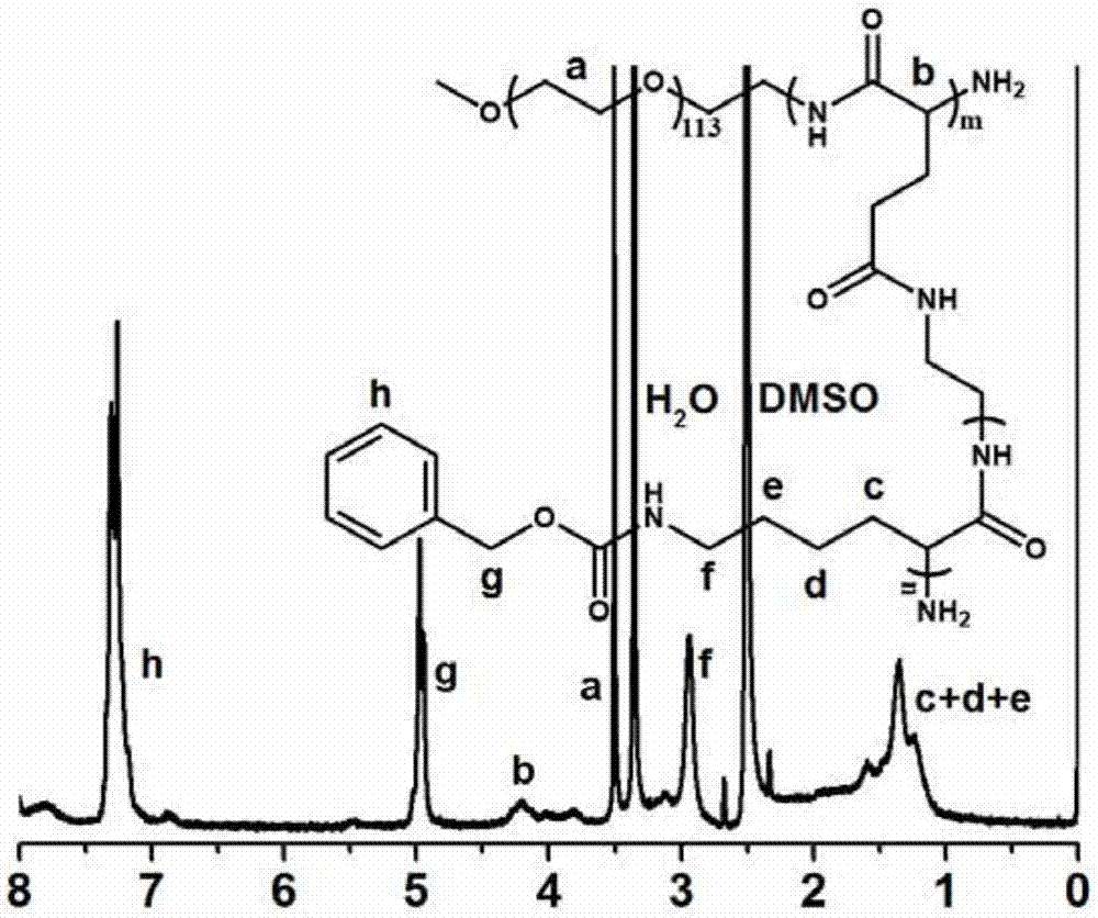 Carrier for improving bioavailability of proteins and water solubility of insoluble drugs and preparation method