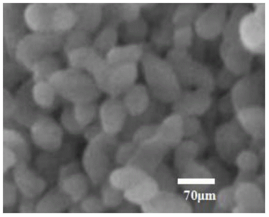 Thymopentin inhalation powder aerosol and preparation method thereof