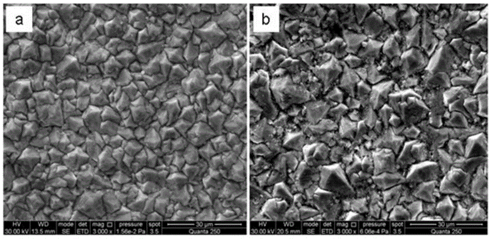 Preparation method of neodymium-doped lead dioxide electrode