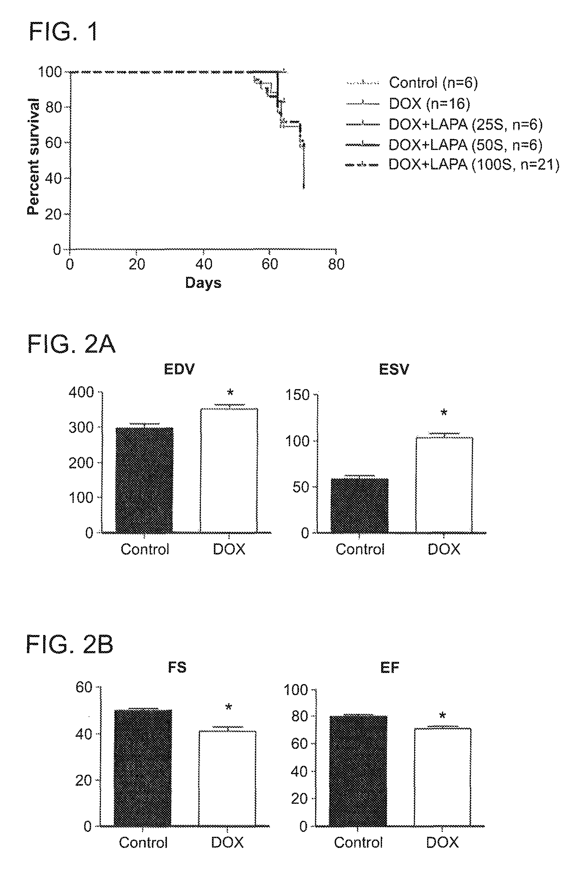 Compositions and methods for treating or preventing anthracycline induced cardiotoxicity