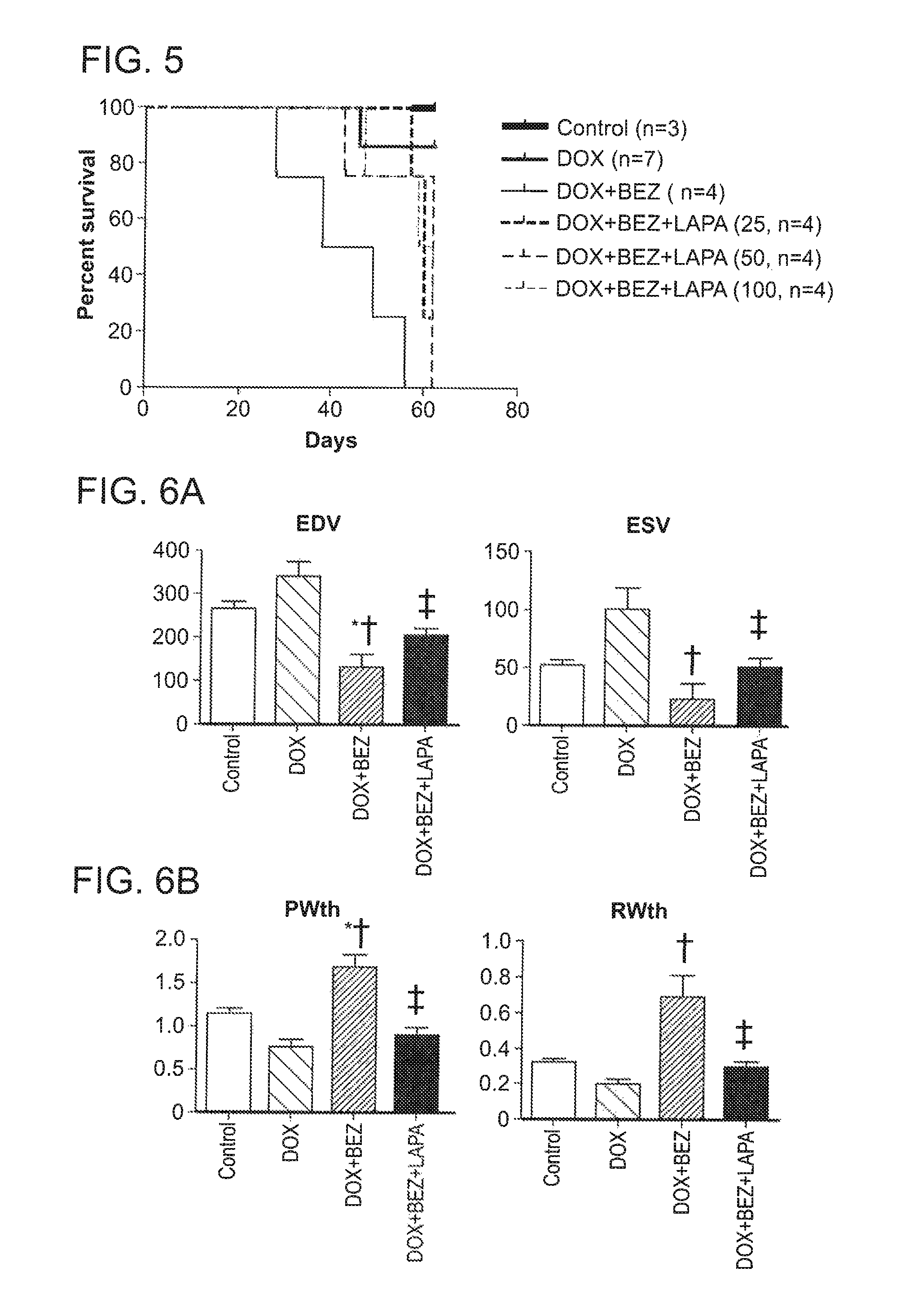 Compositions and methods for treating or preventing anthracycline induced cardiotoxicity